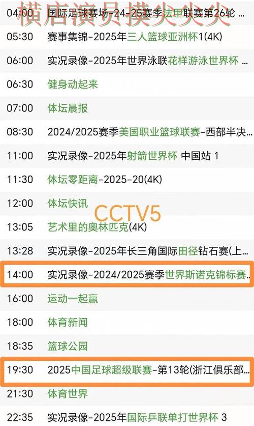 世界杯买球平台汇总报告：访问方式+直播与实际体验总结 - FIFA World Cup 2026